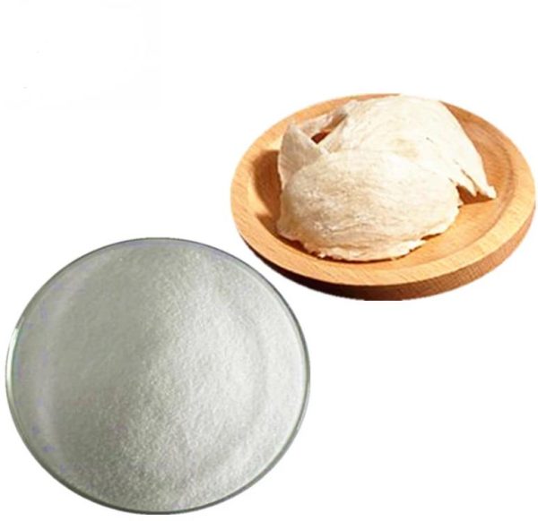 N-Acetylneuraminic Acid