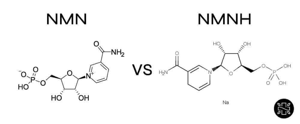 Is NMNH the Same as NMN? Understanding the Difference and Market Trends
