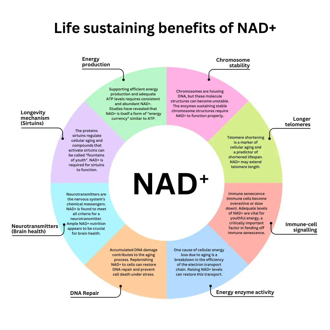 Is NAD Safe? Exploring the Benefits and Considerations