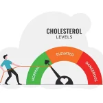 Снижает ли коэнзим Q10 уровень холестерина? Изучаем его роль в здоровье сердца