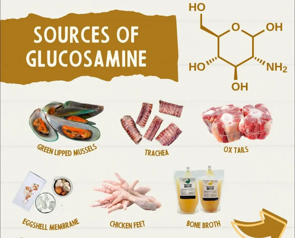 What Foods Have Glucosamine