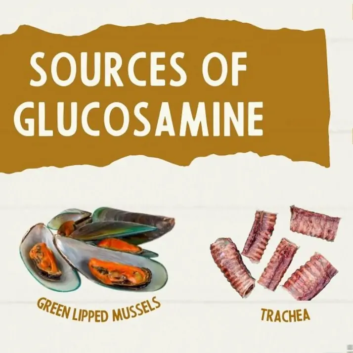 What Foods Have Glucosamine