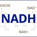 NADH