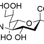 N-Acetylneuraminic Acid