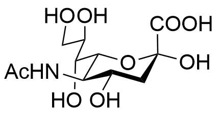 N-Acetylneuraminic Acid