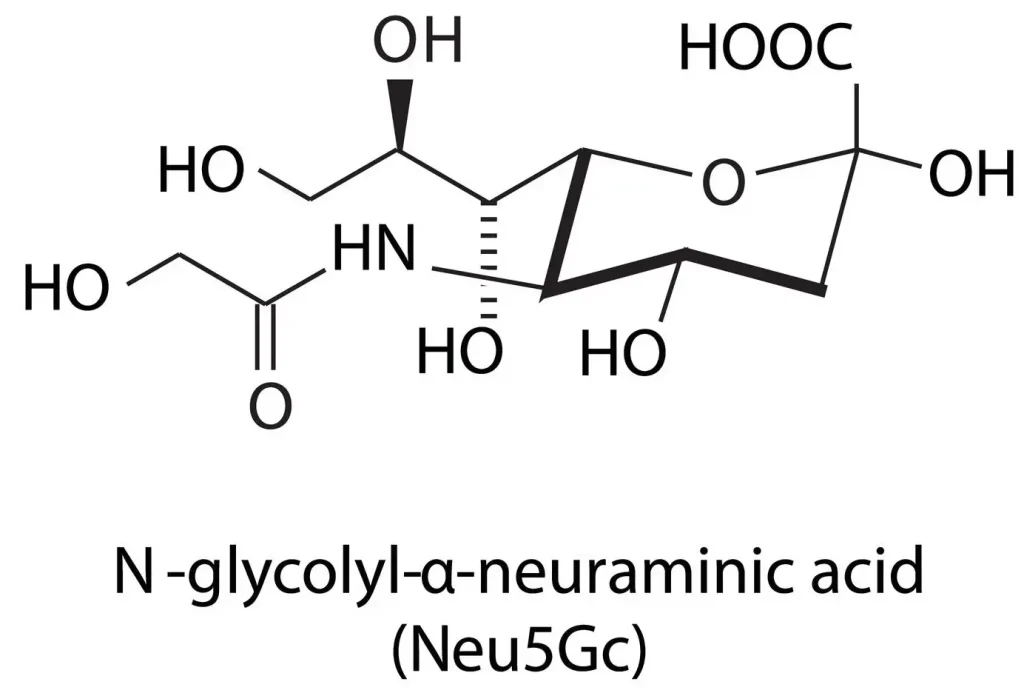 Molecular formula of N-Acetylneuraminic Acid