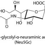 Molecular formula of N-Acetylneuraminic Acid